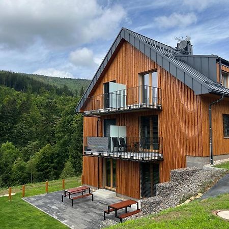 Apartman - Dolni Morava - "Sedmicka" Pro 2 Az 6 Osob Bagian luar foto